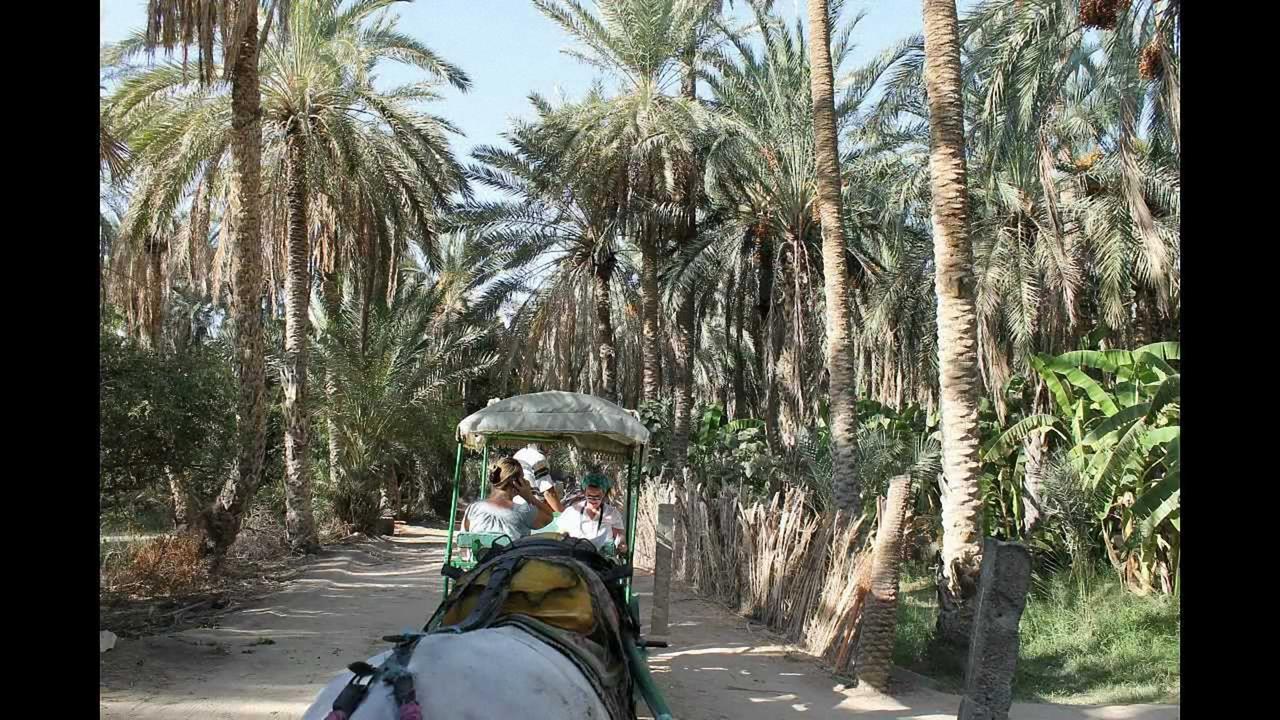 Dar Ezzahra Villa Тозьор Екстериор снимка
